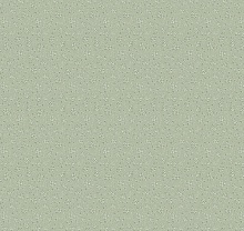 Loymina Classic II V3 005